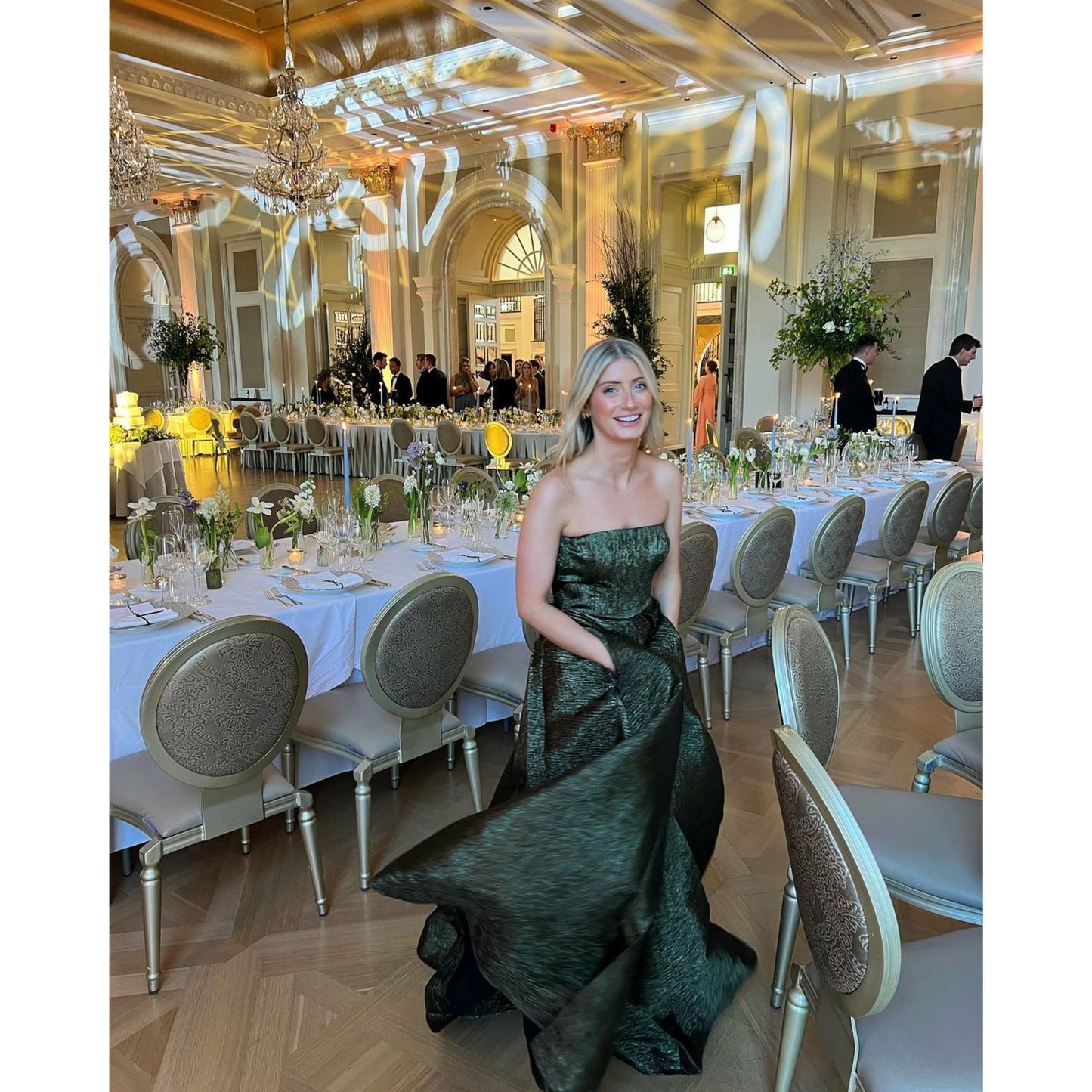 Alex Perry Porter Gown